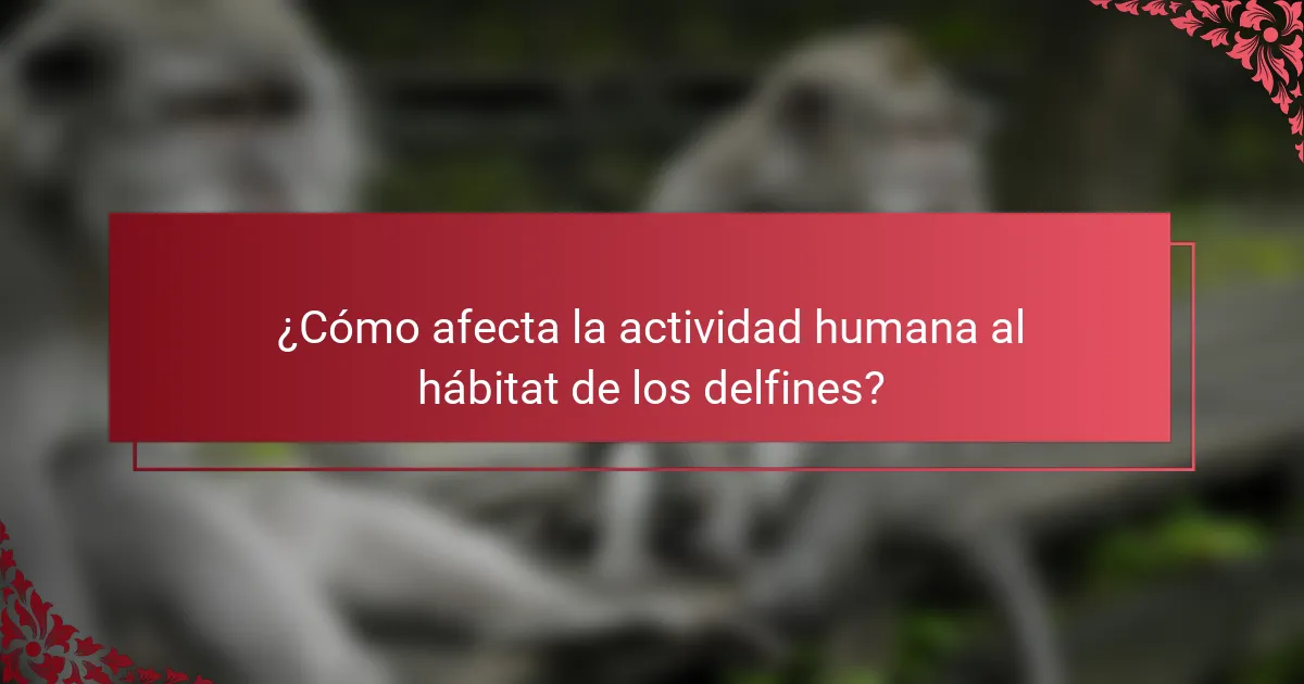 ¿Cómo afecta la actividad humana al hábitat de los delfines?