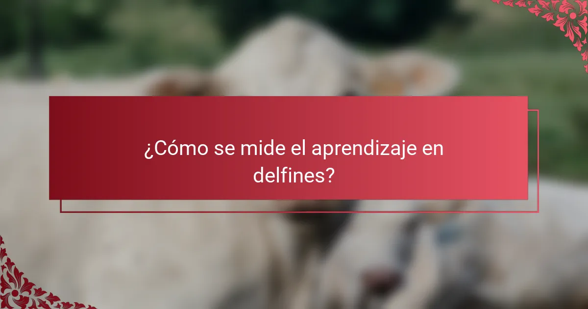¿Cómo se mide el aprendizaje en delfines?
