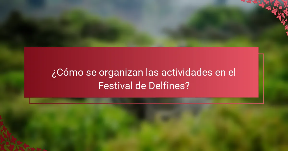 ¿Cómo se organizan las actividades en el Festival de Delfines?