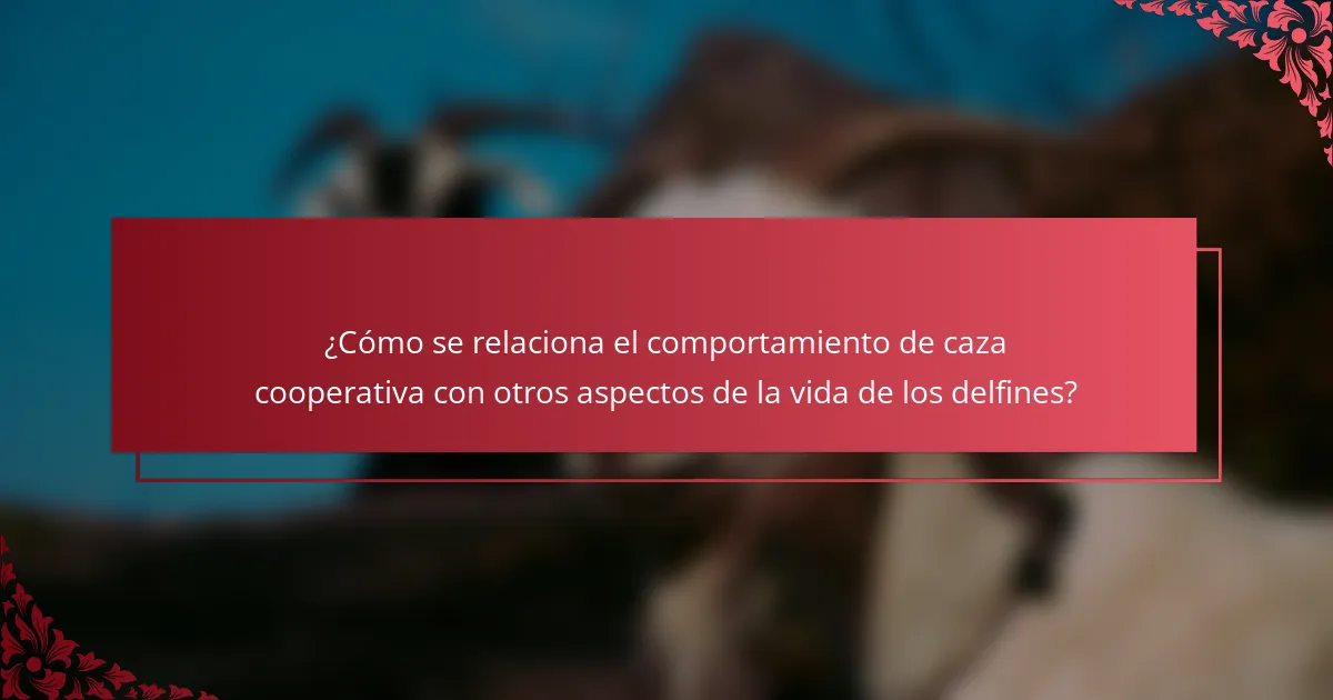 ¿Cómo se relaciona el comportamiento de caza cooperativa con otros aspectos de la vida de los delfines?
