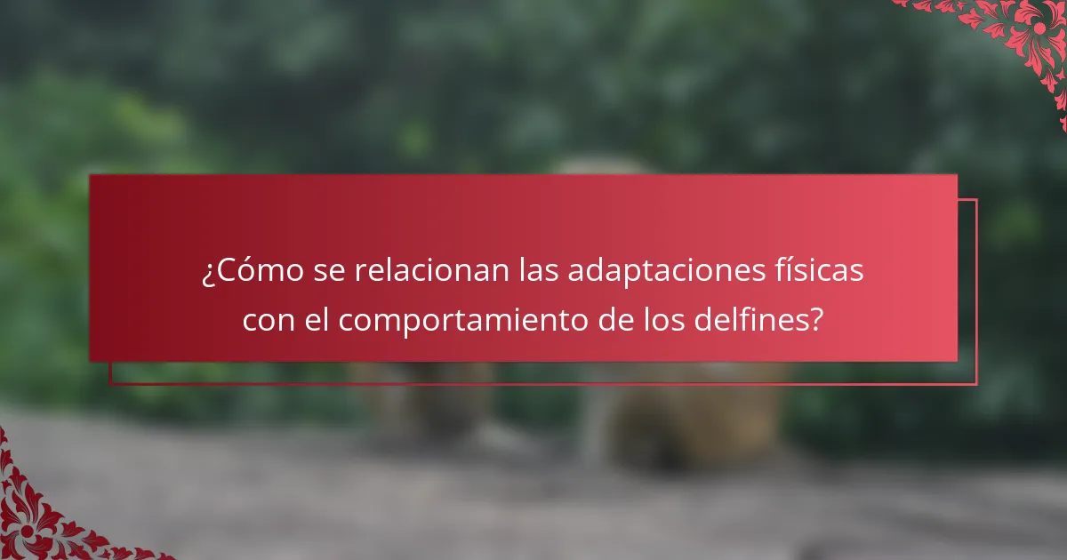 ¿Cómo se relacionan las adaptaciones físicas con el comportamiento de los delfines?