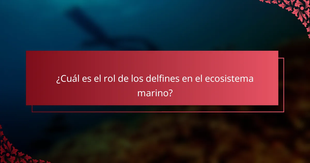 ¿Cuál es el rol de los delfines en el ecosistema marino?