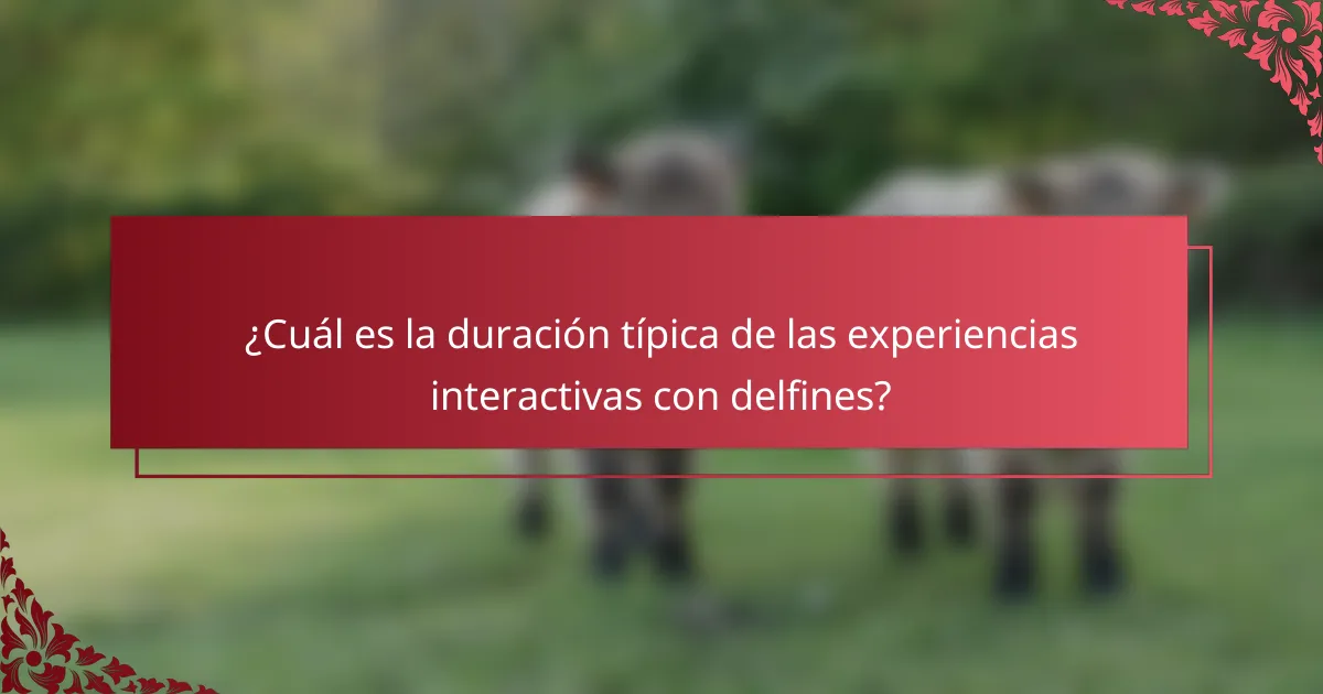 ¿Cuál es la duración típica de las experiencias interactivas con delfines?