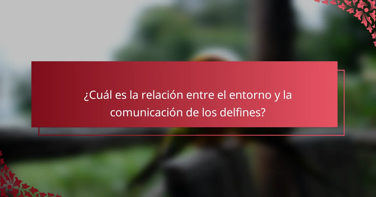 ¿Cuál es la relación entre el entorno y la comunicación de los delfines?