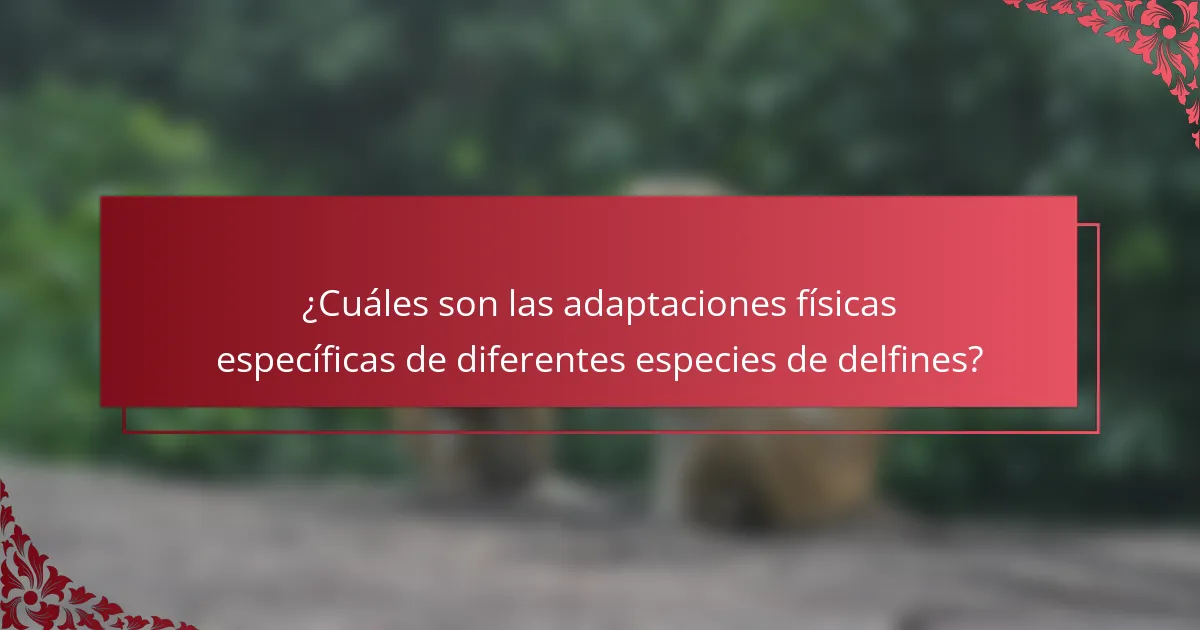 ¿Cuáles son las adaptaciones físicas específicas de diferentes especies de delfines?