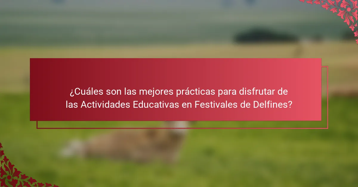 ¿Cuáles son las mejores prácticas para disfrutar de las Actividades Educativas en Festivales de Delfines?