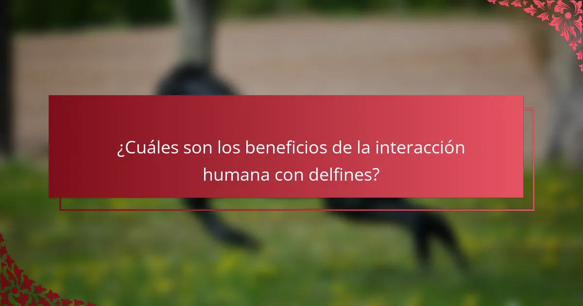 ¿Cuáles son los beneficios de la interacción humana con delfines?