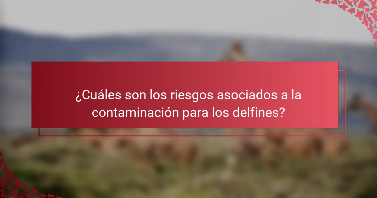 ¿Cuáles son los riesgos asociados a la contaminación para los delfines?