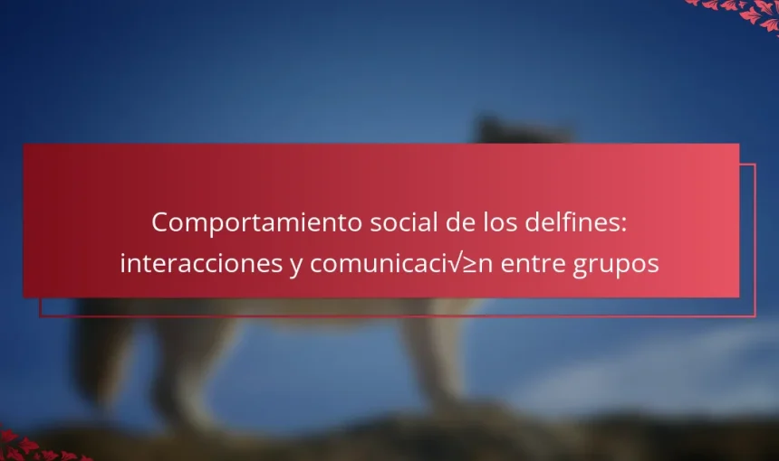 Comportamiento social de los delfines: interacciones y comunicación entre grupos
