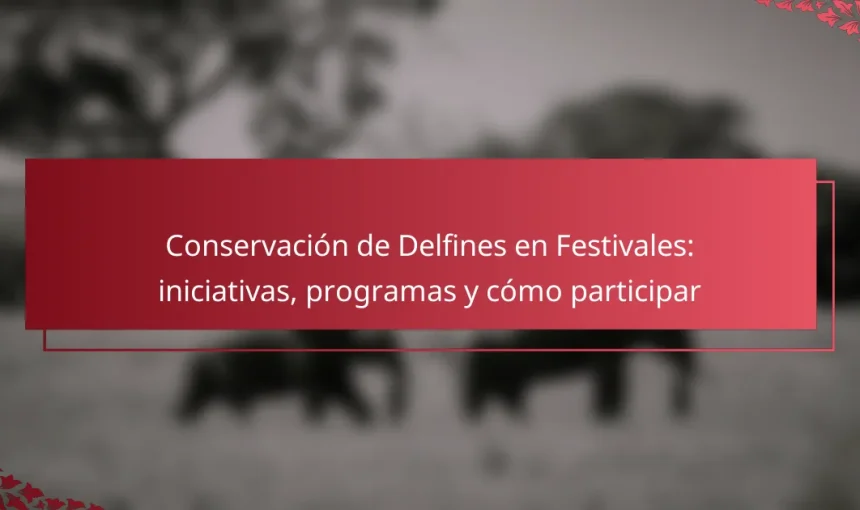 Conservación de Delfines en Festivales: iniciativas, programas y cómo participar