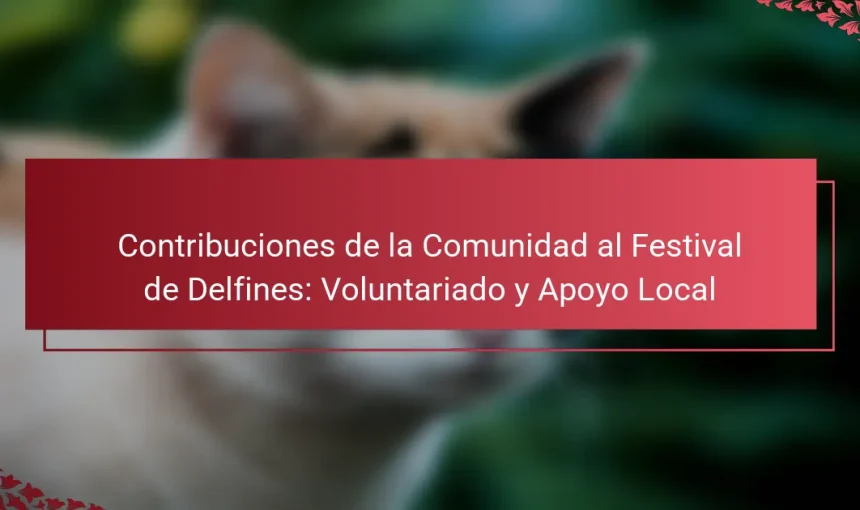 Contribuciones de la Comunidad al Festival de Delfines: Voluntariado y Apoyo Local