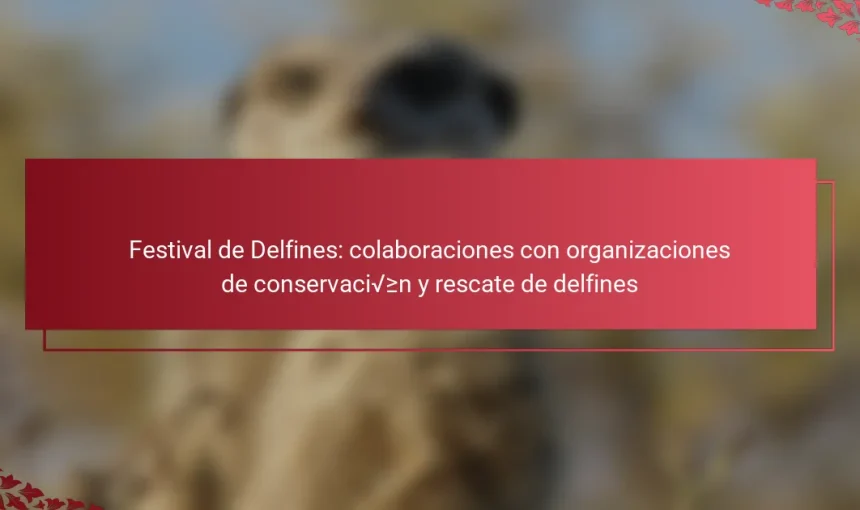 Festival de Delfines: colaboraciones con organizaciones de conservación y rescate de delfines