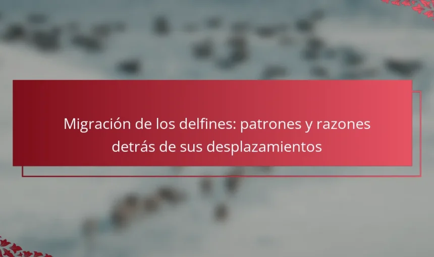 Migración de los delfines: patrones y razones detrás de sus desplazamientos