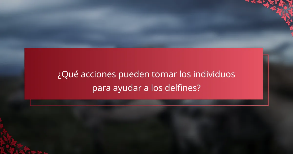 ¿Qué acciones pueden tomar los individuos para ayudar a los delfines?
