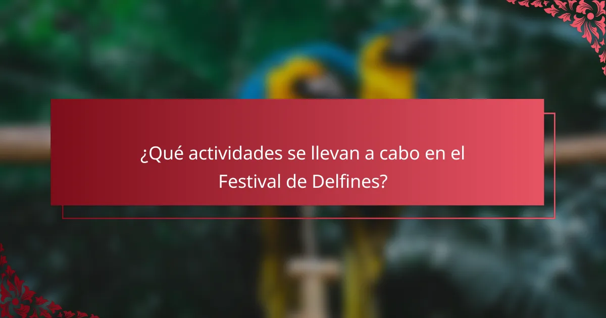 ¿Qué actividades se llevan a cabo en el Festival de Delfines?