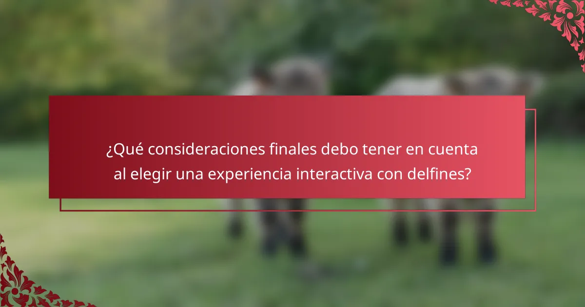 ¿Qué consideraciones finales debo tener en cuenta al elegir una experiencia interactiva con delfines?
