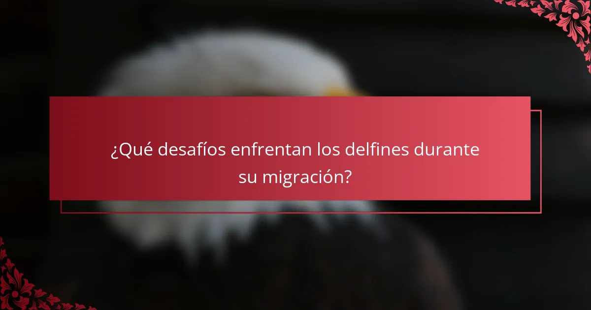 ¿Qué desafíos enfrentan los delfines durante su migración?