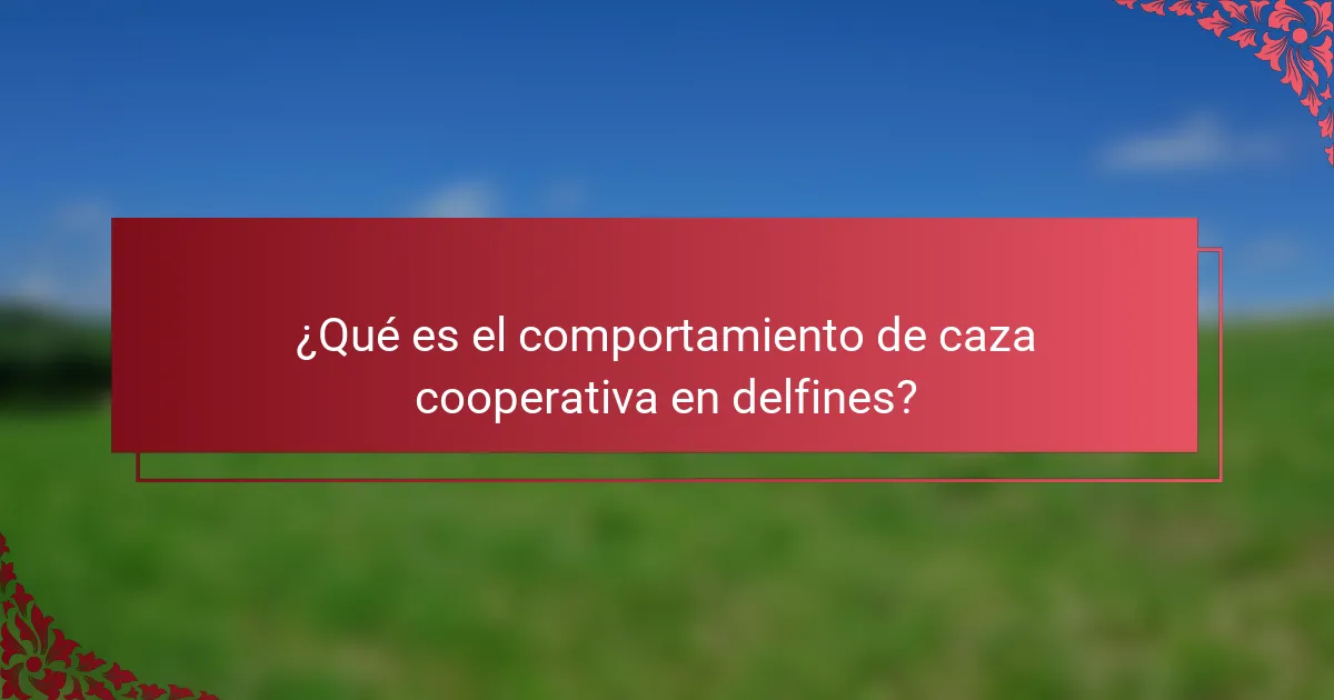 ¿Qué es el comportamiento de caza cooperativa en delfines?