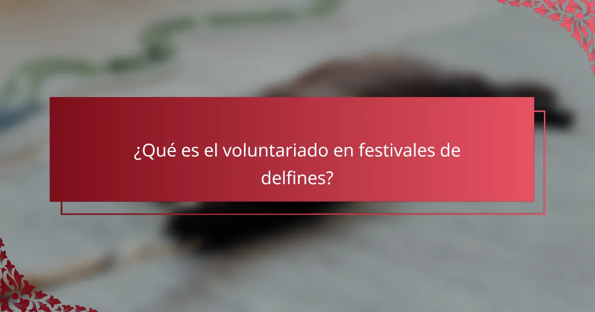 ¿Qué es el voluntariado en festivales de delfines?