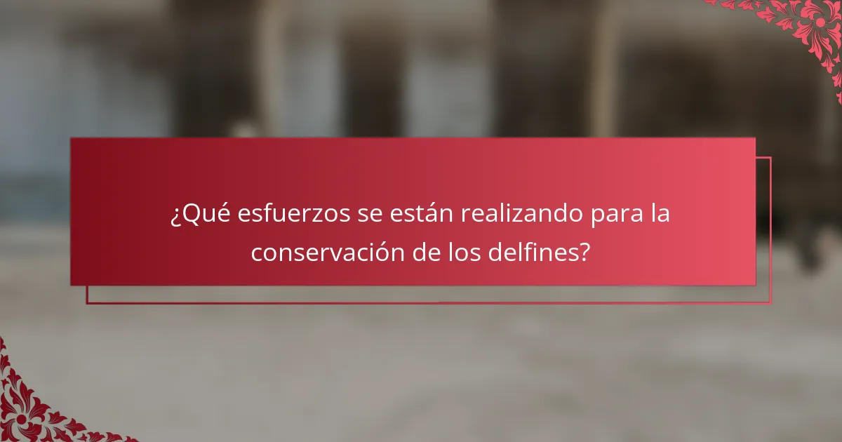 ¿Qué esfuerzos se están realizando para la conservación de los delfines?