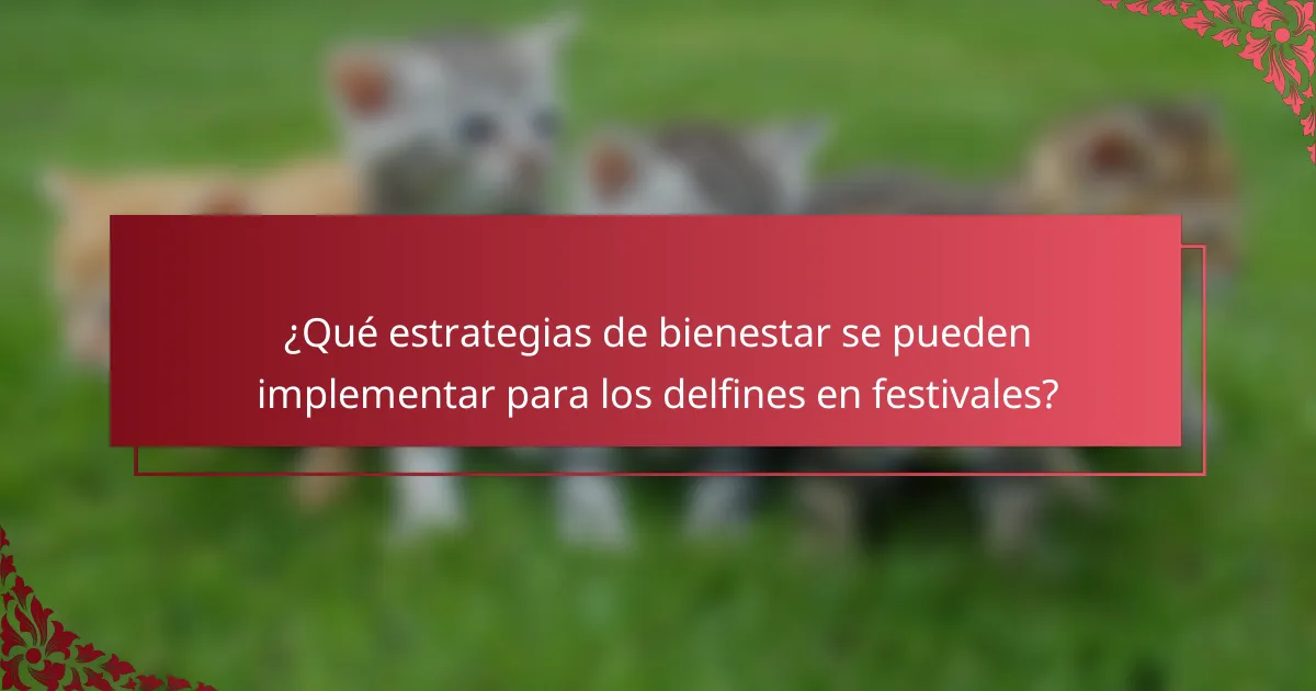 ¿Qué estrategias de bienestar se pueden implementar para los delfines en festivales?