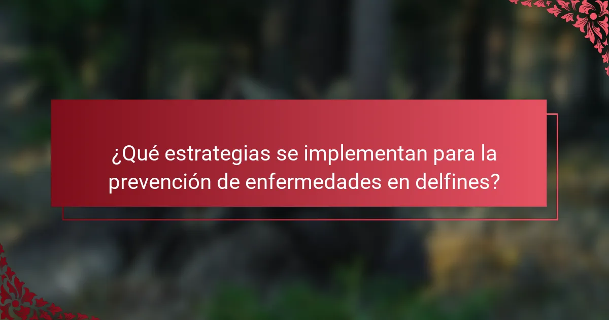 ¿Qué estrategias se implementan para la prevención de enfermedades en delfines?