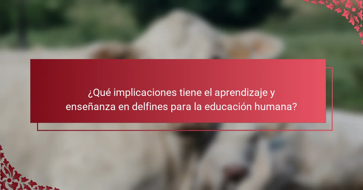 ¿Qué implicaciones tiene el aprendizaje y enseñanza en delfines para la educación humana?