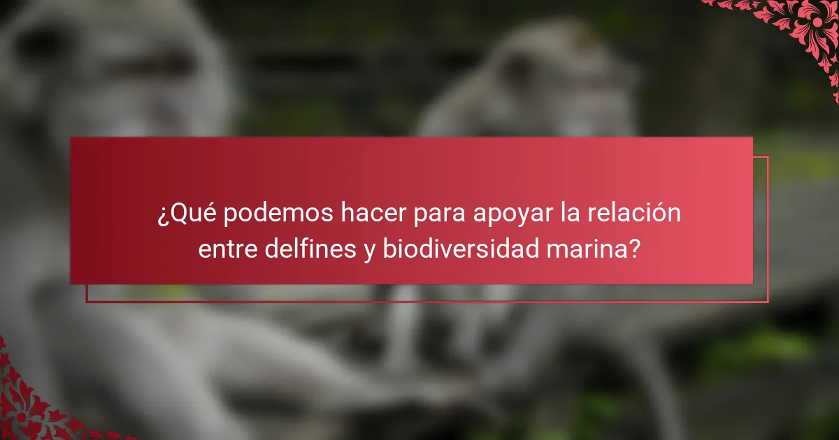 ¿Qué podemos hacer para apoyar la relación entre delfines y biodiversidad marina?