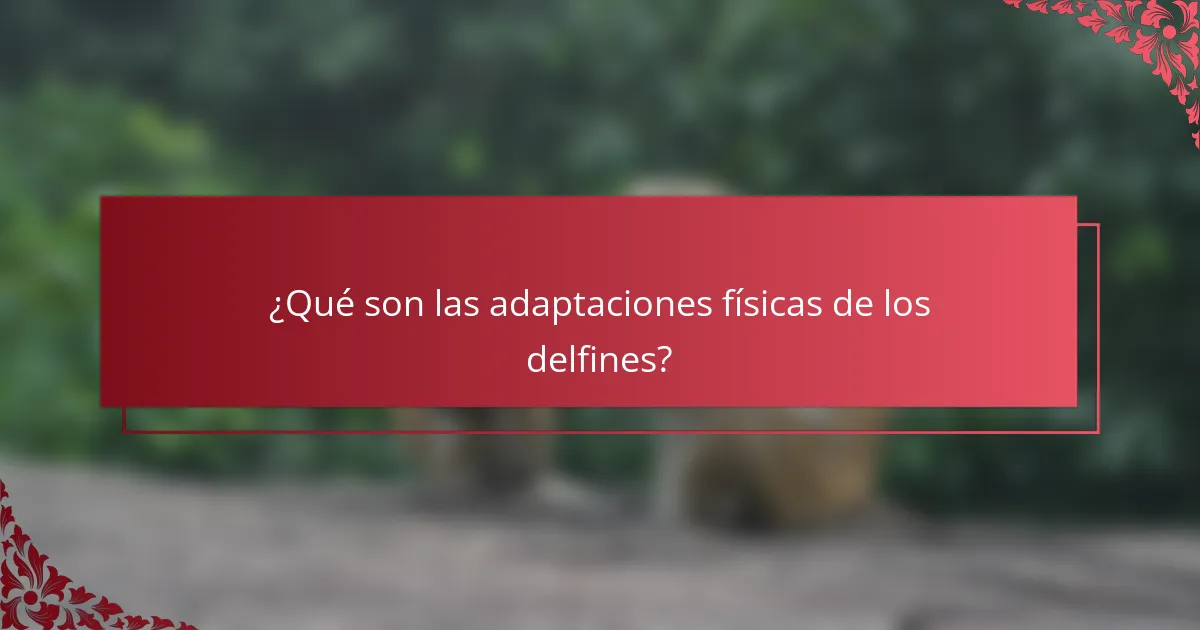 ¿Qué son las adaptaciones físicas de los delfines?