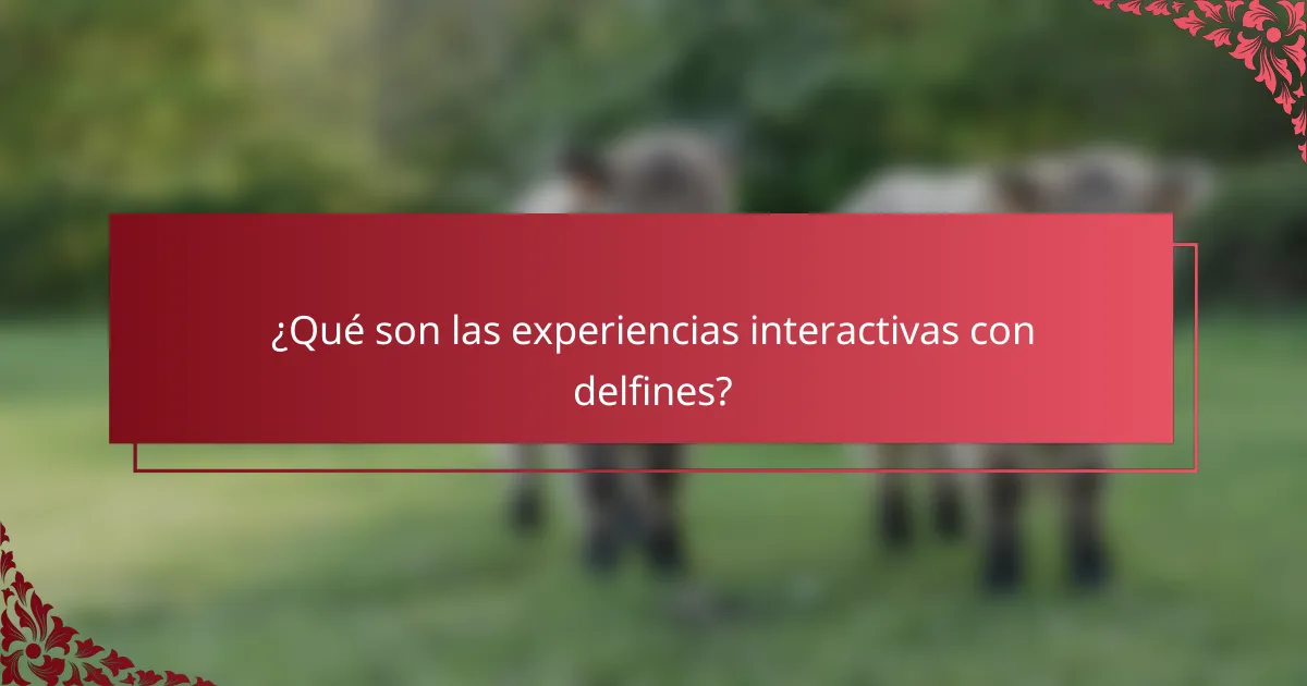 ¿Qué son las experiencias interactivas con delfines?