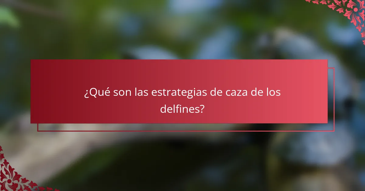 ¿Qué son las estrategias de caza de los delfines?