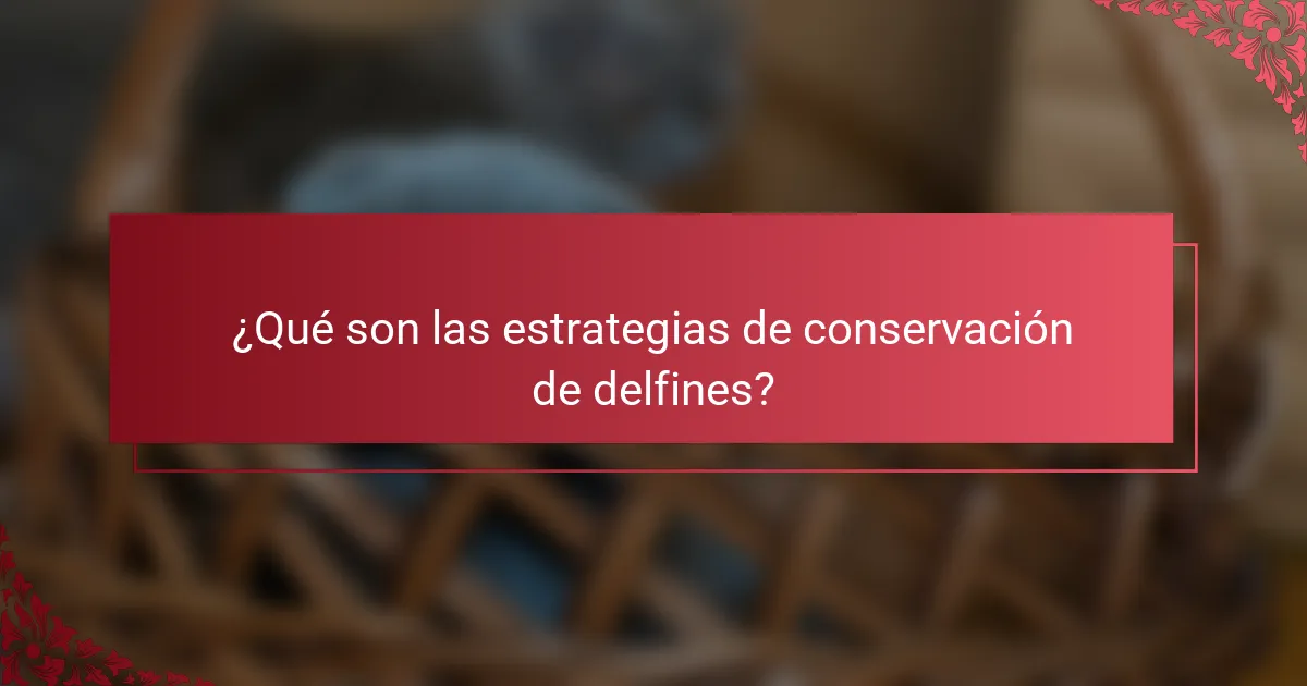 ¿Qué son las estrategias de conservación de delfines?