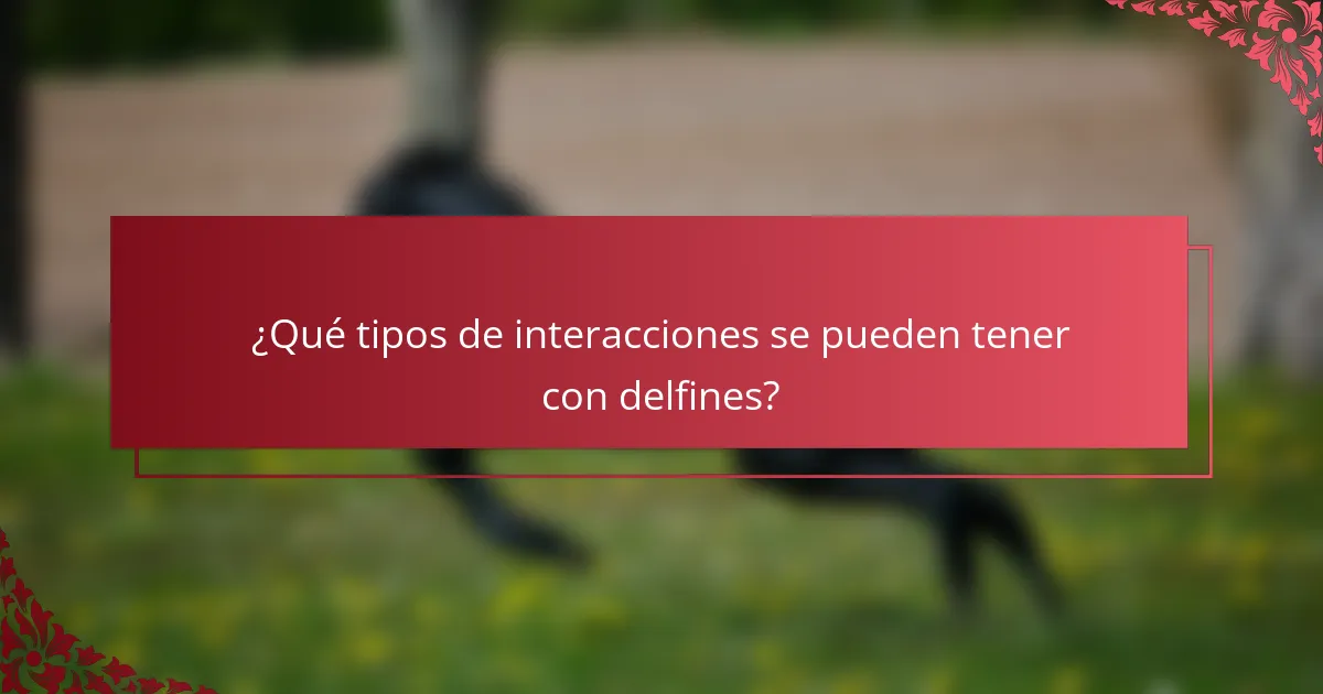 ¿Qué tipos de interacciones se pueden tener con delfines?